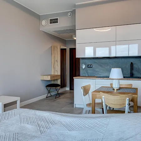 Hanza Tower Swimming Pool & 18 Floor Great View 슈체친